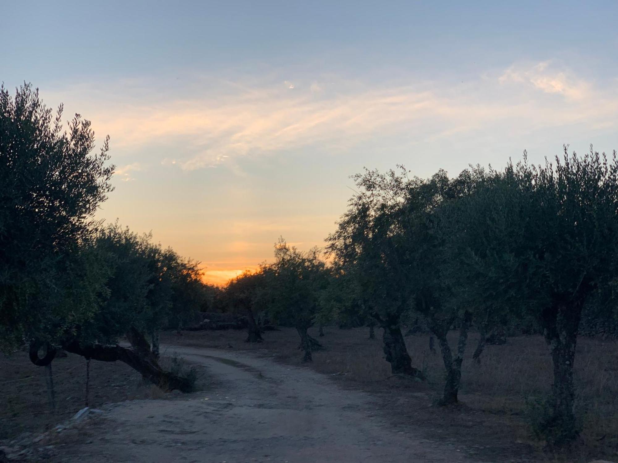 דירות פורטלגרה Casa 1-Quinta Dos Penedos מראה חיצוני תמונה
